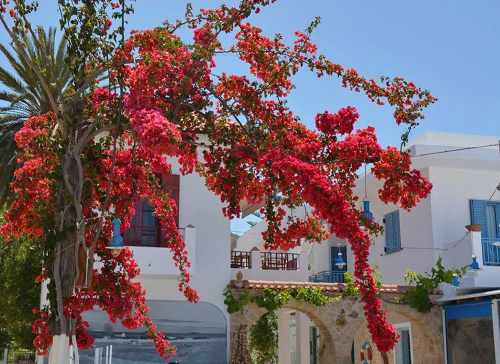 Saronis Hotel Agistri - Adults Only Skala  Exterior photo